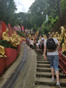 road to buddhas